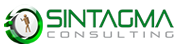 SINTAGMA CONSULTING